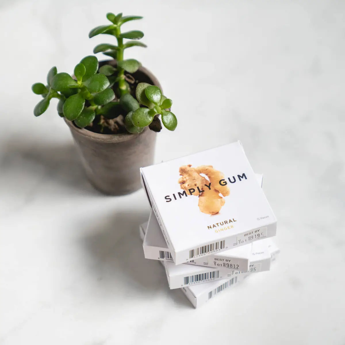 Simply Gum - Ginger - All-Natural Chewing Gum - Simply Gum
