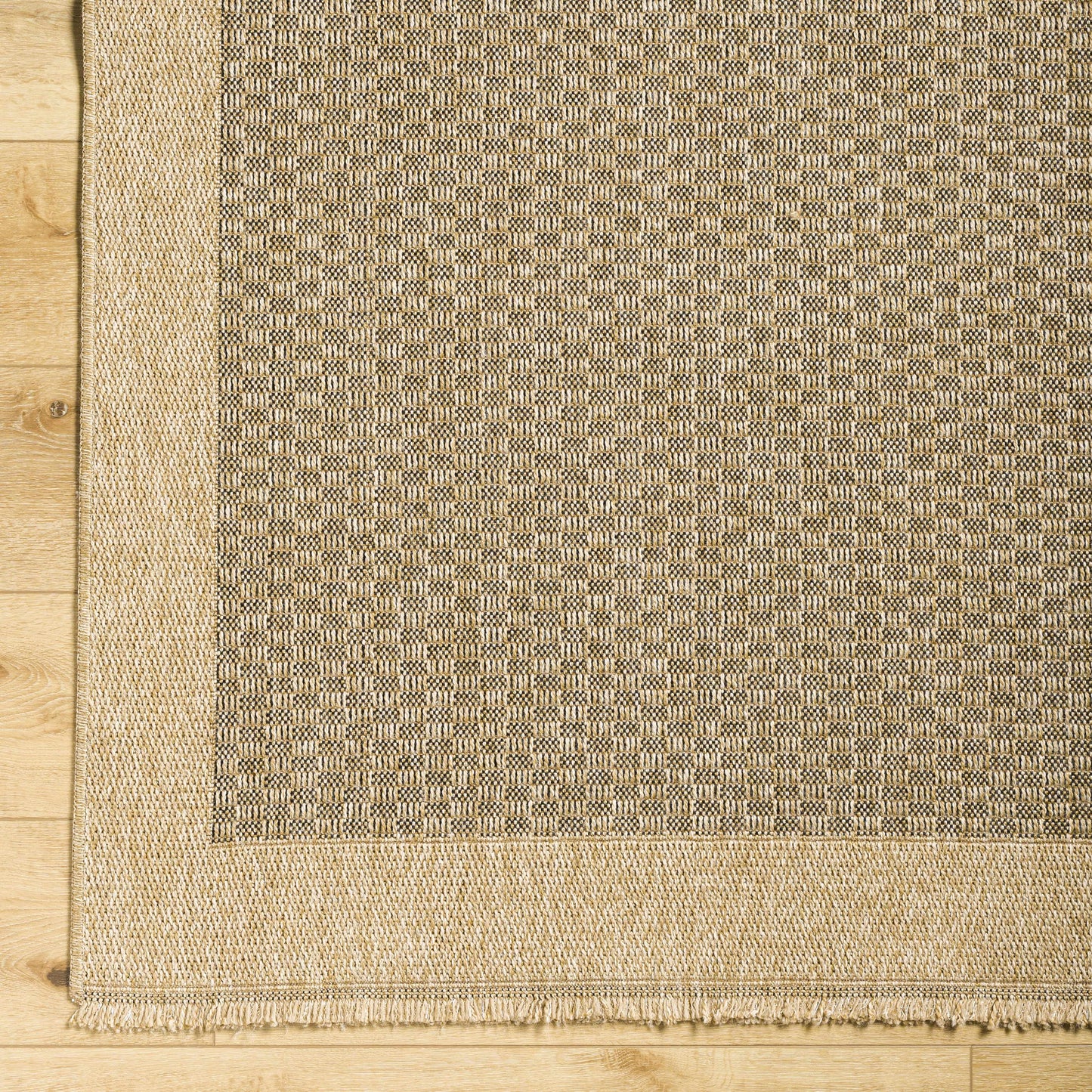 Biana Indoor & Outdoor Rug