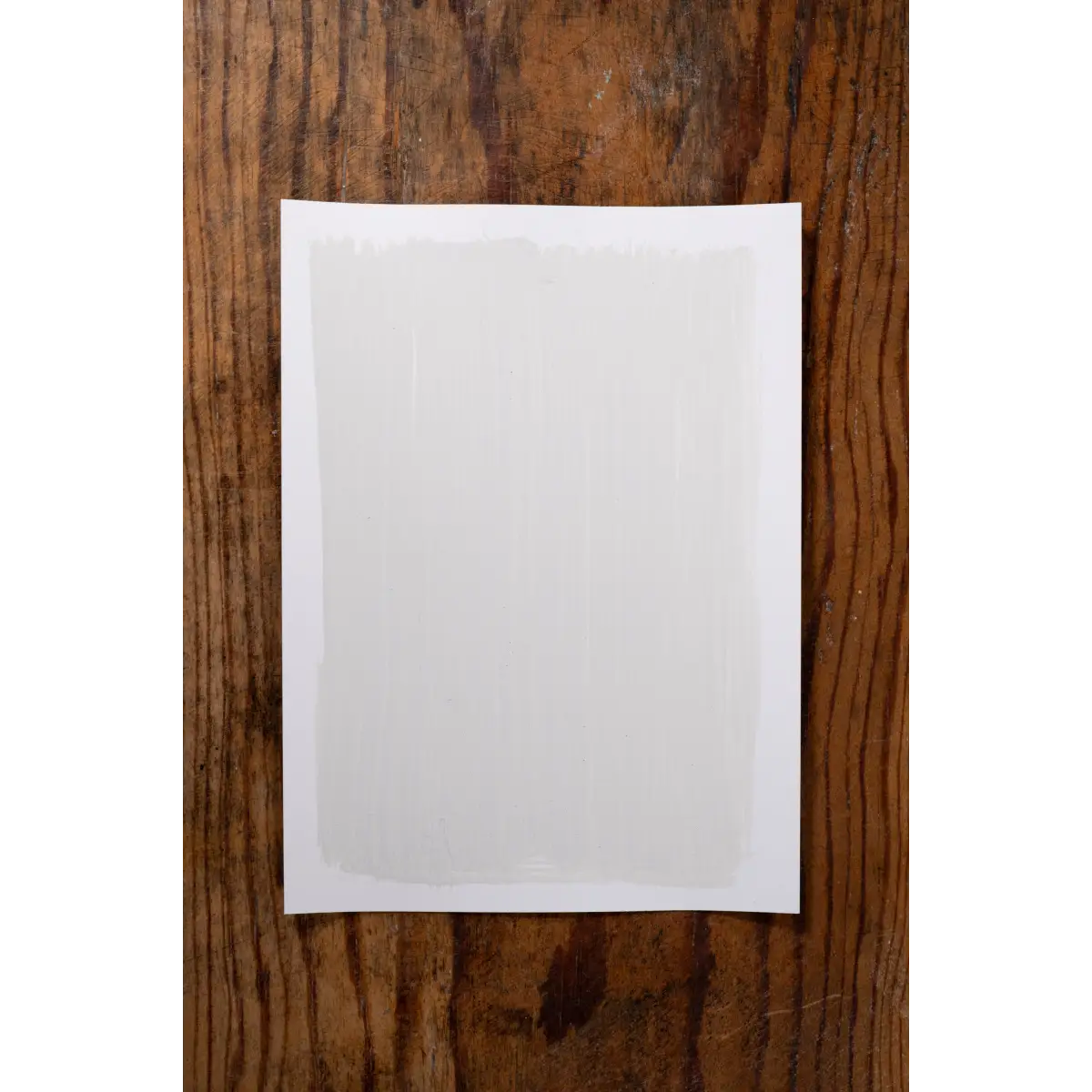 Snuggle Bunny - Manor Borne Wall Paint - Amy Howard At Home