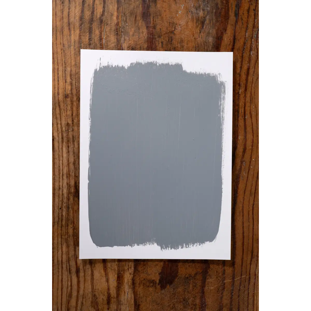 Soho Chic - Manor Borne Wall Paint - Amy Howard At Home