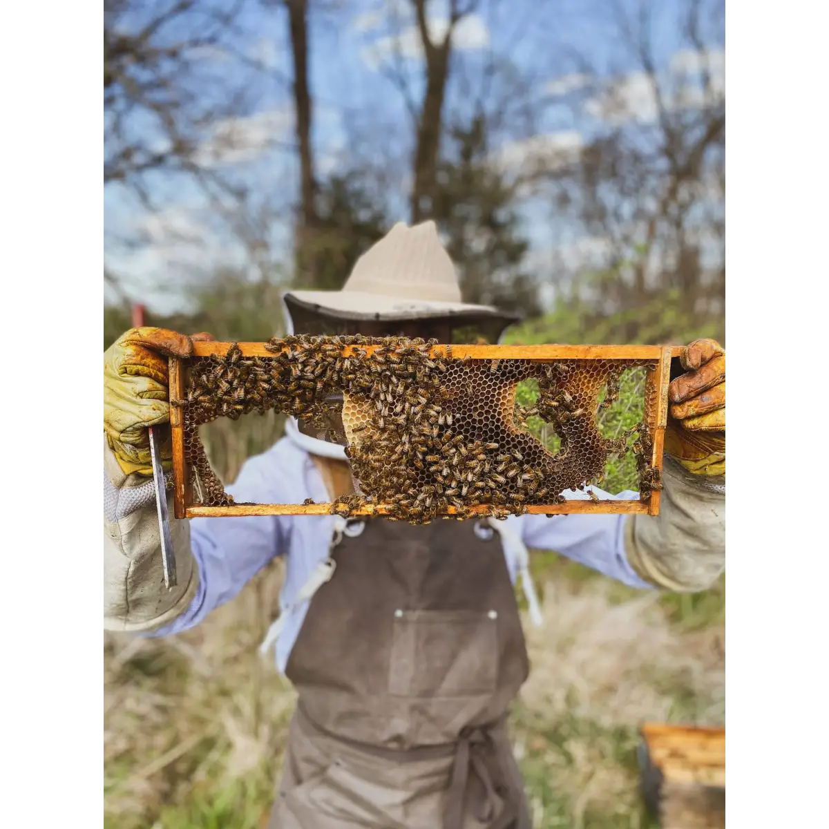 Solid Cologne - Monarch - Handmade with Beeswax - Messner Bee Farm