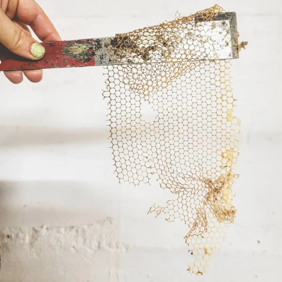 Solid Perfume - Honeysuckle - Handmade with Beeswax - Messner Bee Farm