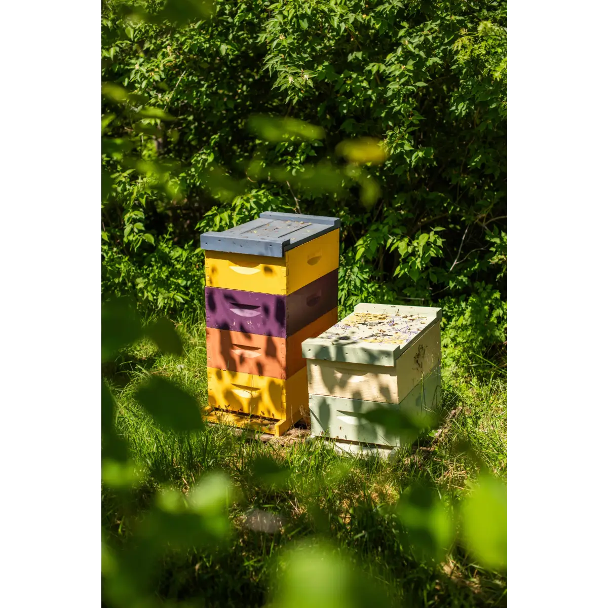 Solid Perfume - Honeysuckle - Handmade with Beeswax - Messner Bee Farm