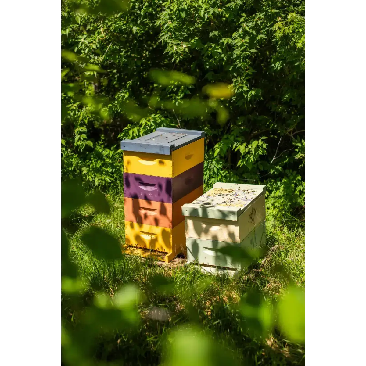 Solid Perfume - Queen Bee - Handmade with Beeswax - Messner Bee Farm