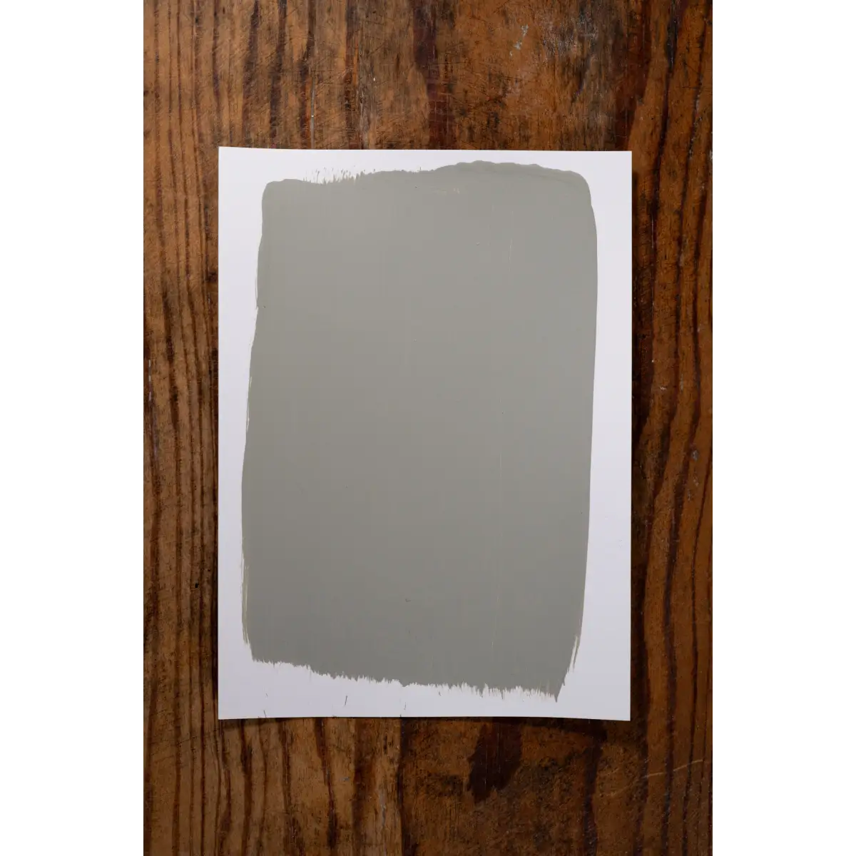 Southern Girl - Manor Borne Wall Paint - Amy Howard At Home