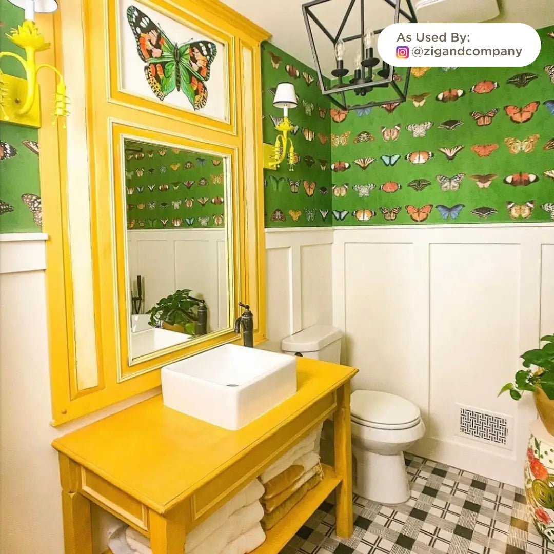 One Step Paint | Holey Moley - Amy Howard At Home
