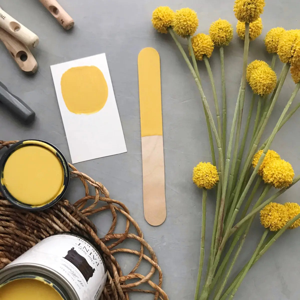 One Step Paint | Holey Moley - Amy Howard At Home