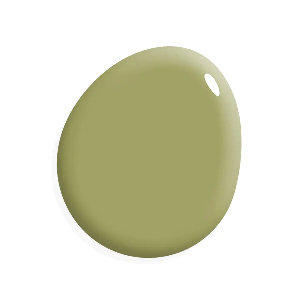 One Step Paint | Lime Lime - Amy Howard At Home