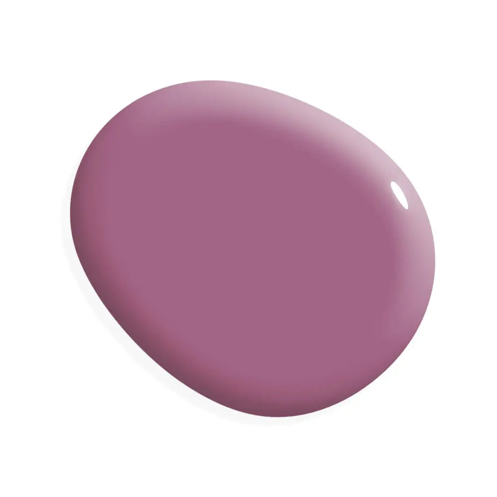 One Step Paint | Orchid - Amy Howard At Home
