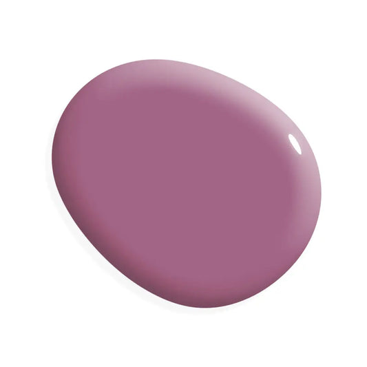 One Step Paint | Orchid - Amy Howard At Home