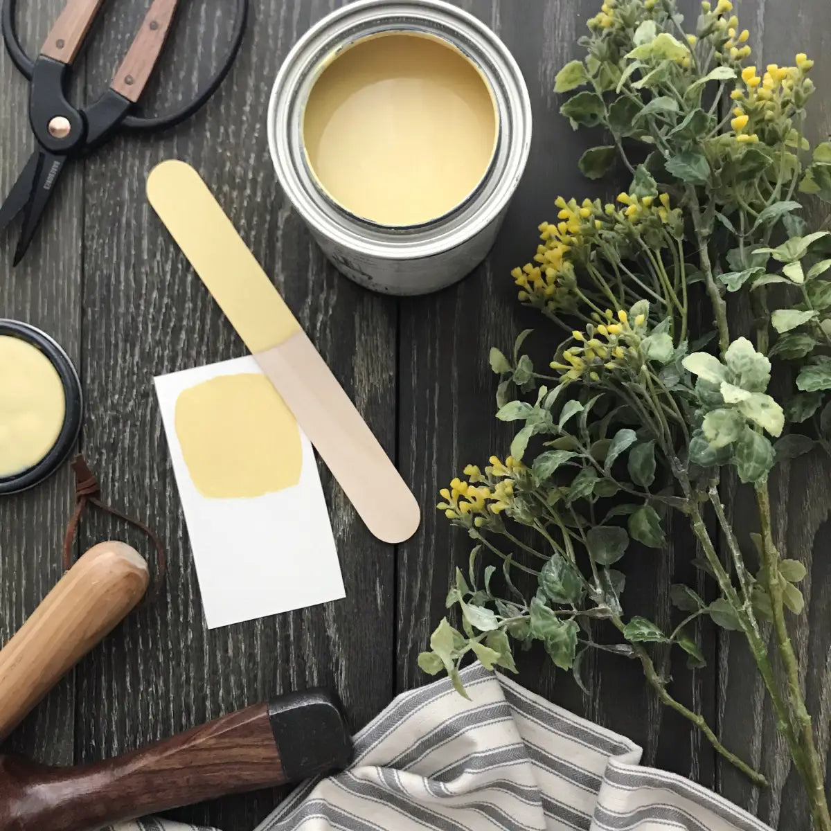 One Step Paint | Palm Beach - Amy Howard At Home
