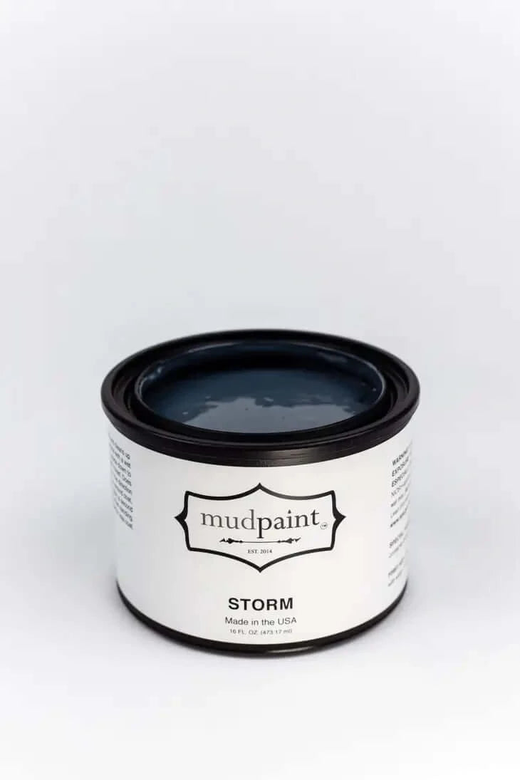 Storm Paint 16 oz