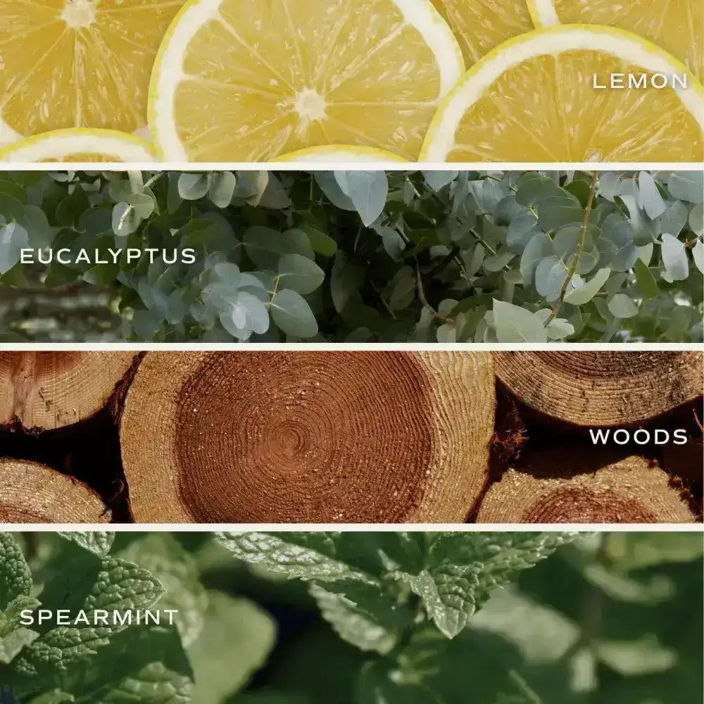 Stress Relief Soy Candle - Clear Jar - 9 oz - Sweet Water Decor