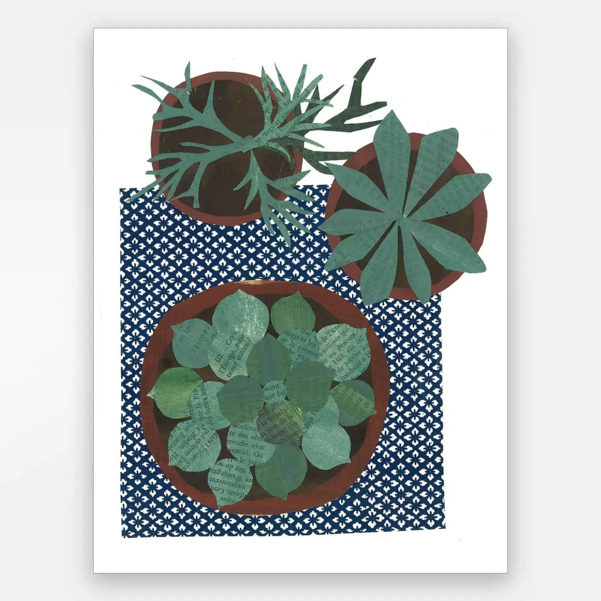 Succulents Card (blank) - Paste
