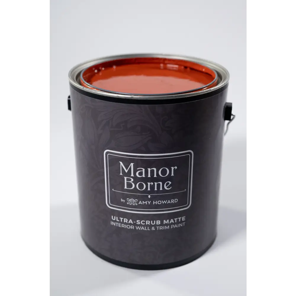 Sunset Engagement - Manor Borne Wall Paint - Amy Howard At Home