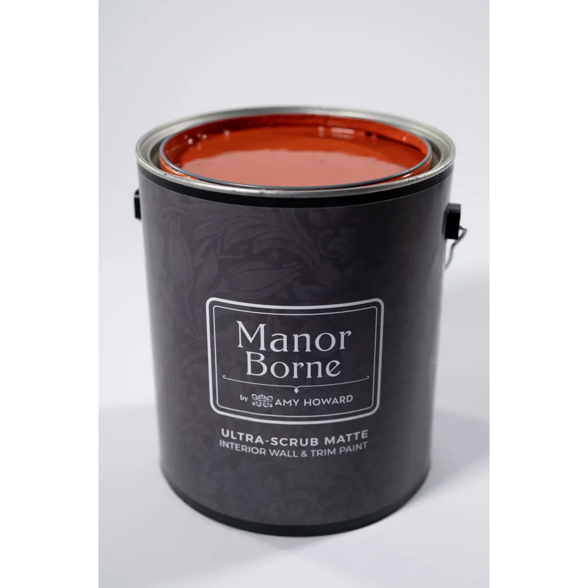 Sunset Engagement - Manor Borne Wall Paint - Amy Howard At Home