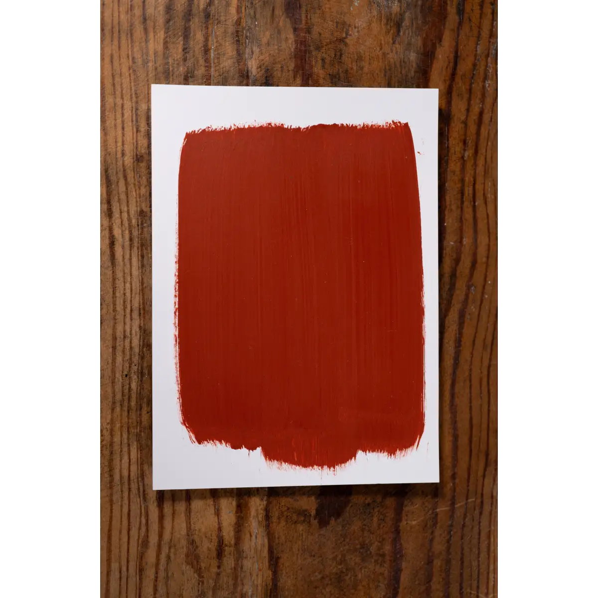 Sunset Engagement - Manor Borne Wall Paint - Amy Howard At Home