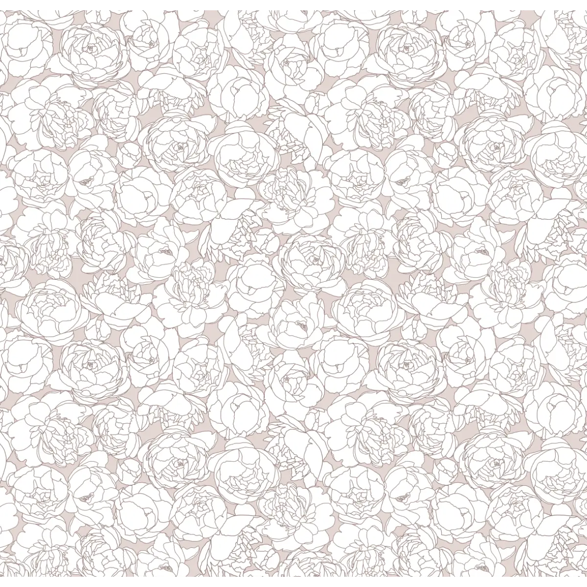 Suri Wallpaper - Peony Line Drawings - by Kourtni Gunn - Sample 1 foot by 1 foot / Pink - Loomwell Home Goods