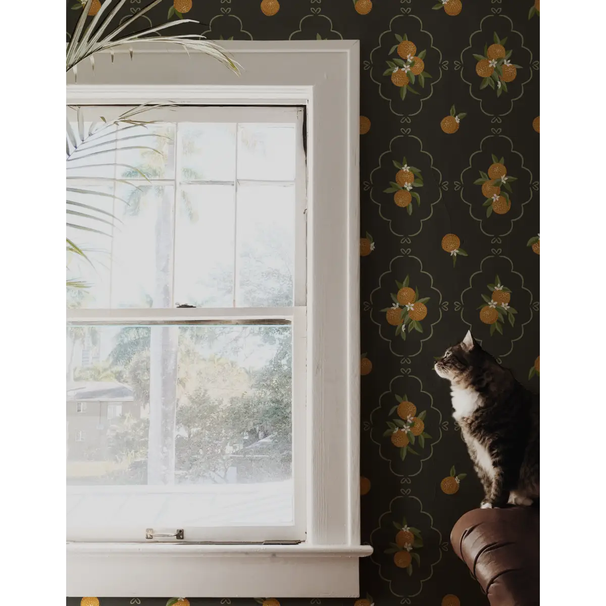 Sutton Wallpaper - Oranges in Trellis - by Mackenzie Nelson - Loomwell Home Goods