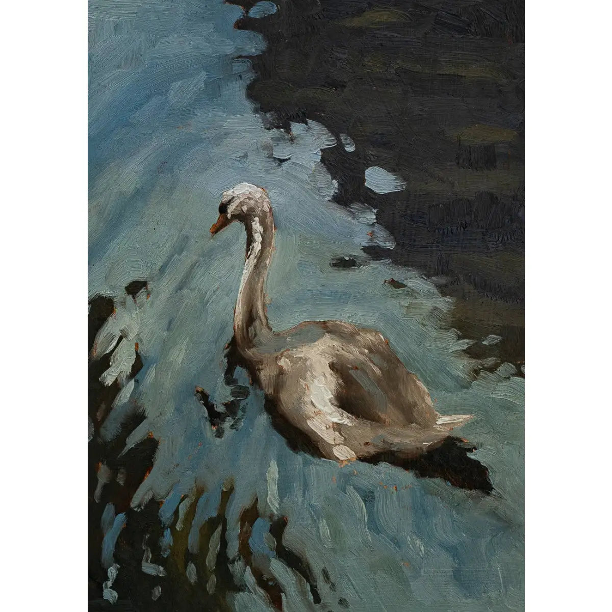 Art Print - Swan 2 Painting - 5x7 - Miss Mustard Seed