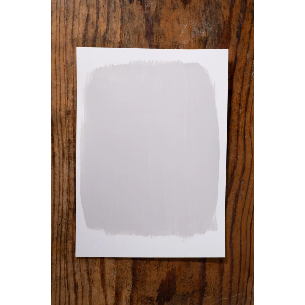 Sweater Weather - Manor Borne Wall Paint - Amy Howard At Home