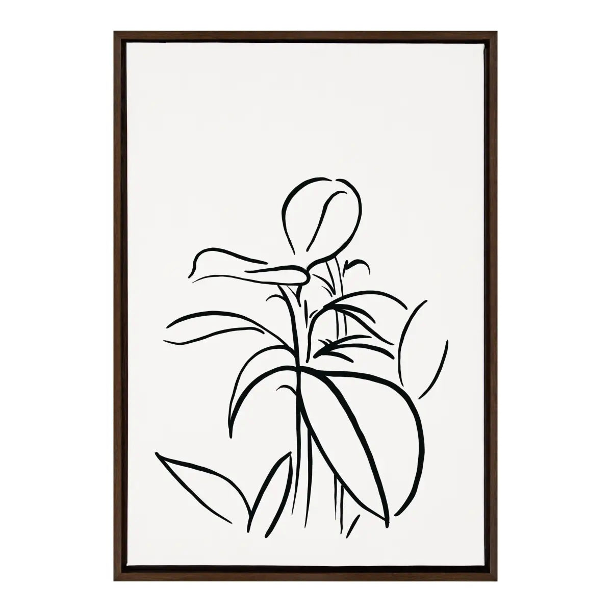 Framed Canvas - Botanical Sketch Print No 1 - Brown / 23x33 - kateandlaurel
