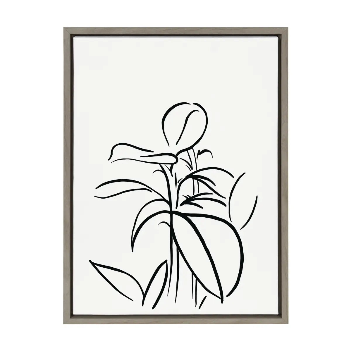 Framed Canvas - Botanical Sketch Print No 1 - Gray / 18x24 - kateandlaurel