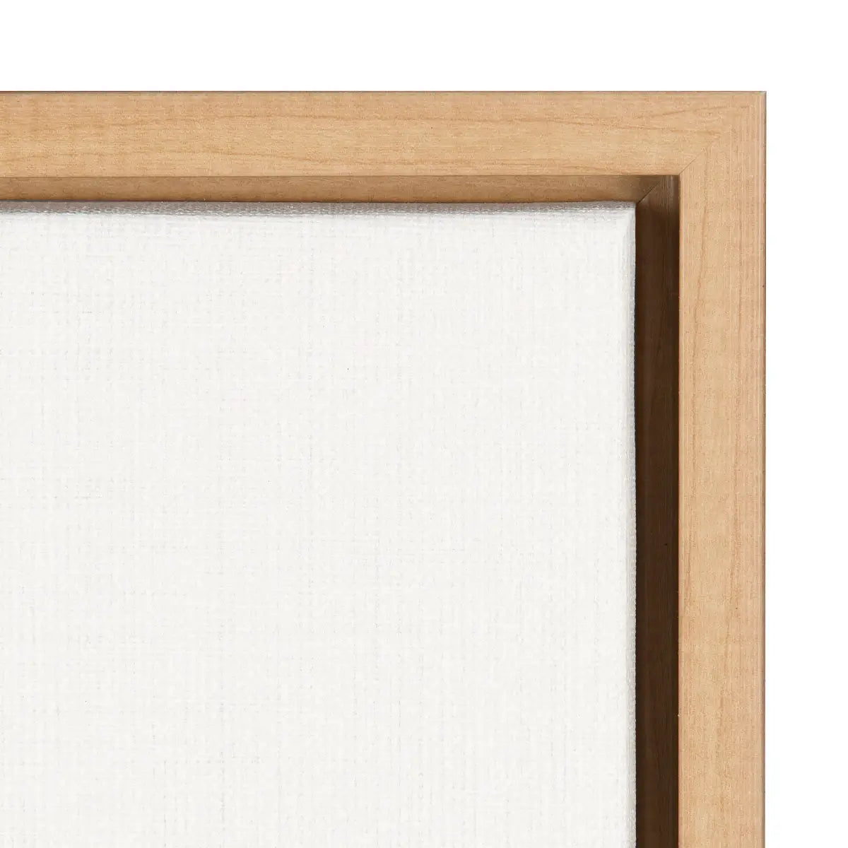 Framed Canvas - Botanical Sketch Print No 1 - kateandlaurel
