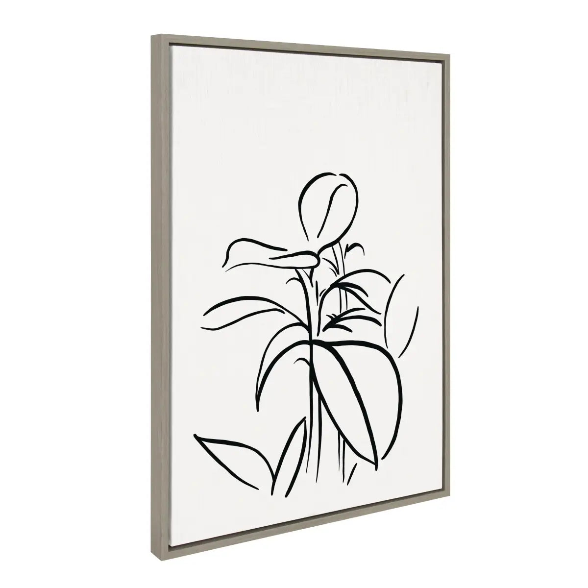 Framed Canvas - Botanical Sketch Print No 1 - kateandlaurel