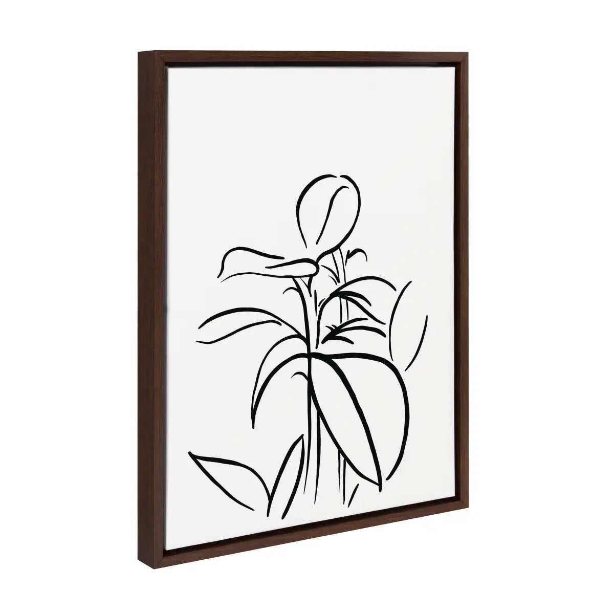 Framed Canvas - Botanical Sketch Print No 1 - kateandlaurel
