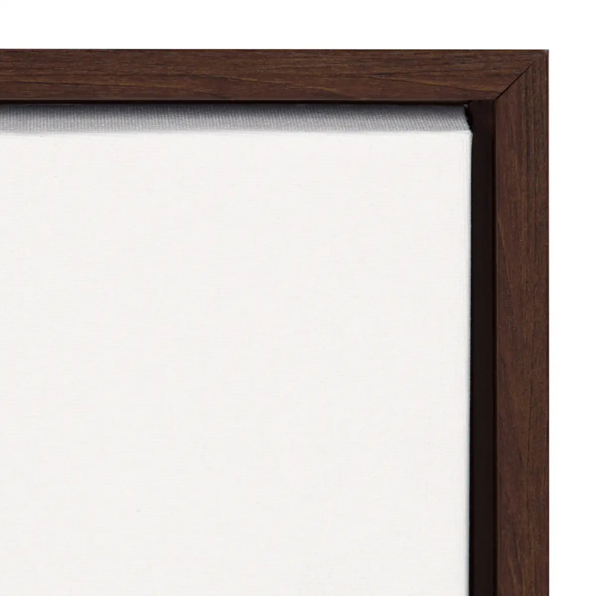 Framed Canvas - Botanical Sketch Print No 1 - kateandlaurel
