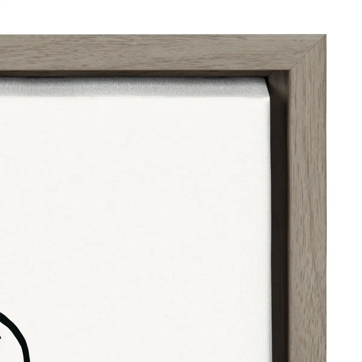 Framed Canvas - Botanical Sketch Print No 1 - kateandlaurel