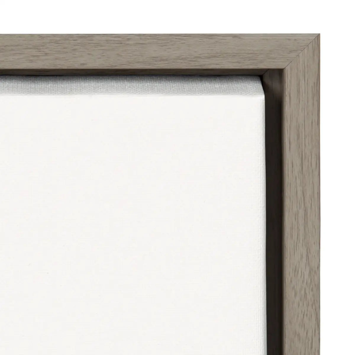 Framed Canvas - Botanical Sketch Print No 1 - kateandlaurel