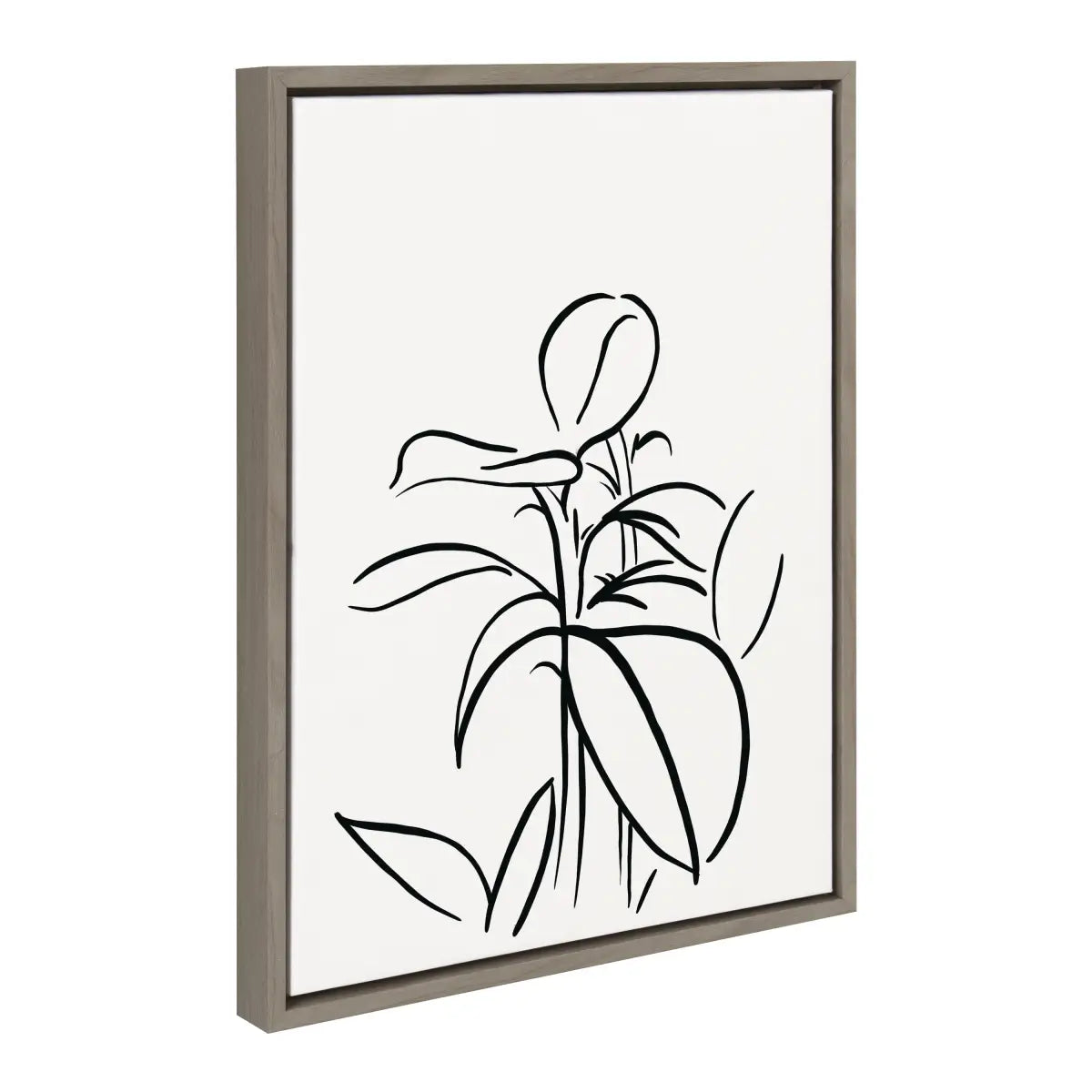 Framed Canvas - Botanical Sketch Print No 1 - kateandlaurel