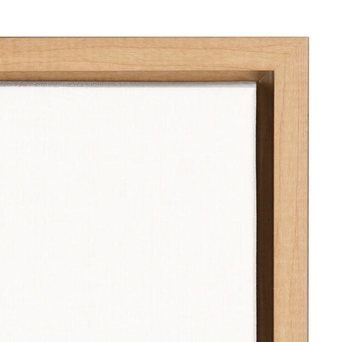Framed Canvas - Botanical Sketch Print No 1 - kateandlaurel