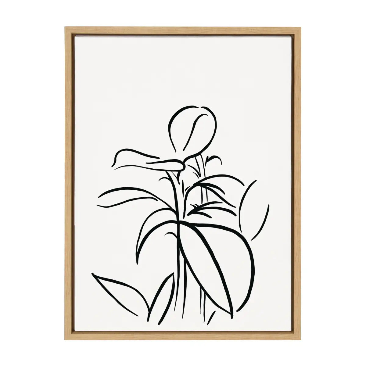 Framed Canvas - Botanical Sketch Print No 1 - Natural / 18x24 - kateandlaurel