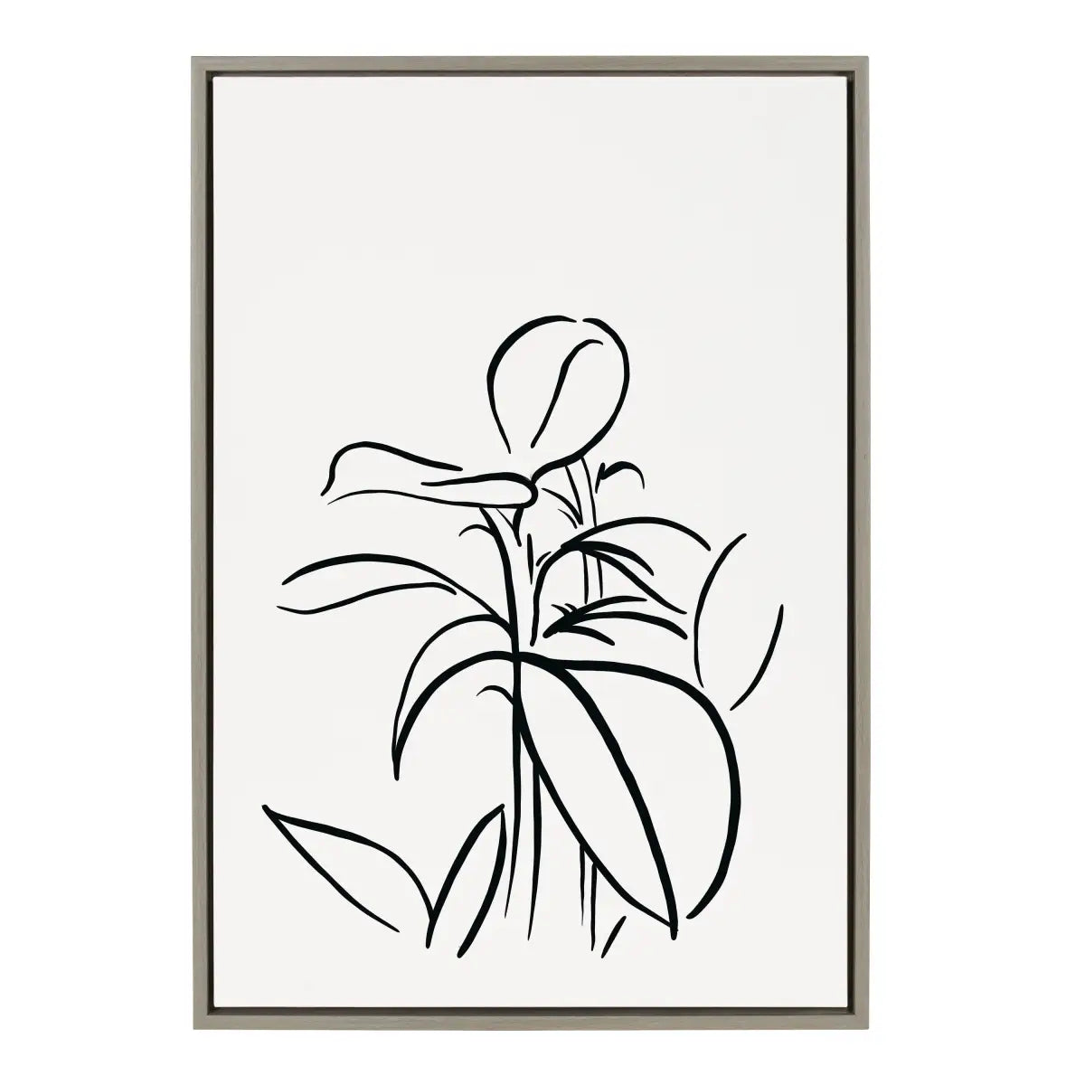 Framed Canvas - Botanical Sketch Print No 1 - kateandlaurel