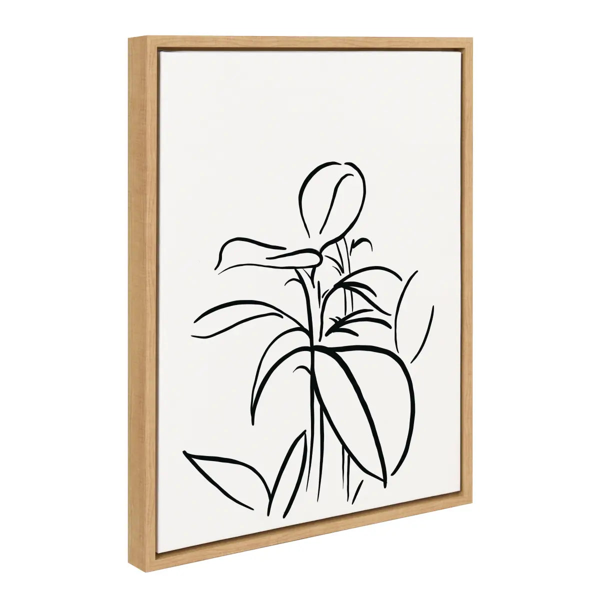 Framed Canvas - Botanical Sketch Print No 1 - kateandlaurel