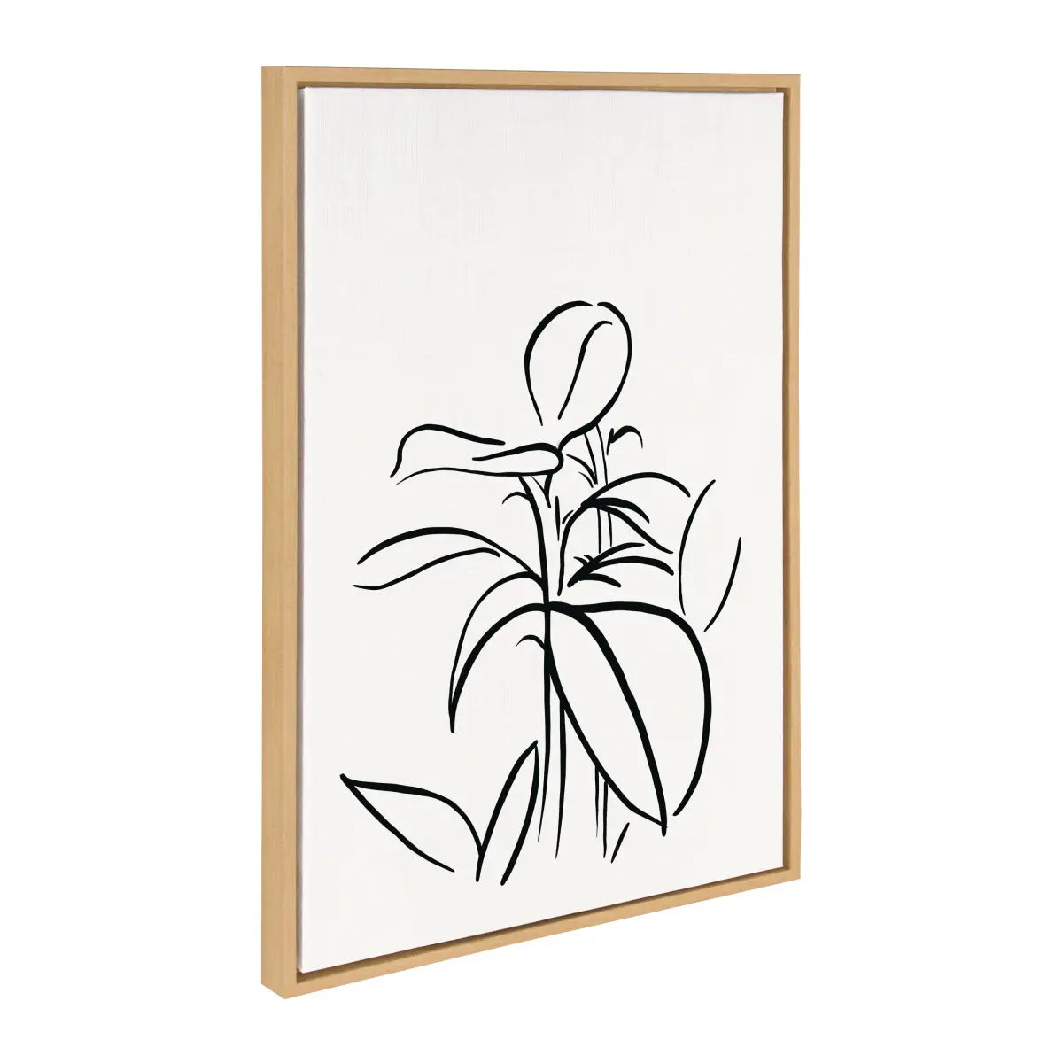 Framed Canvas - Botanical Sketch Print No 1 - kateandlaurel