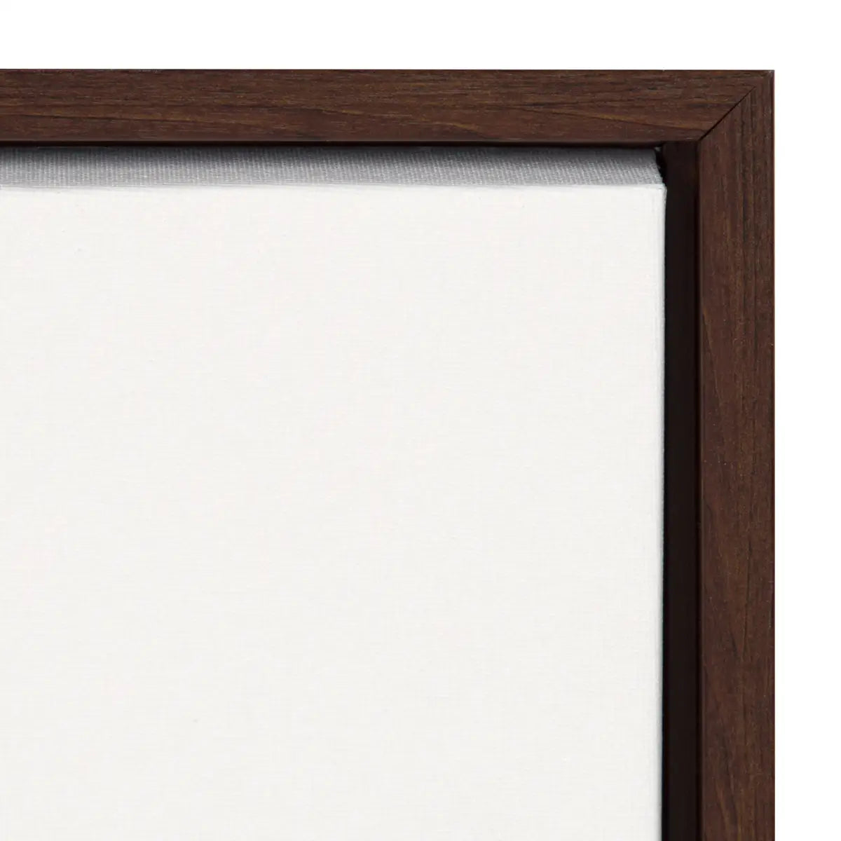 Framed Canvas - Botanical Sketch Print No 1 - kateandlaurel