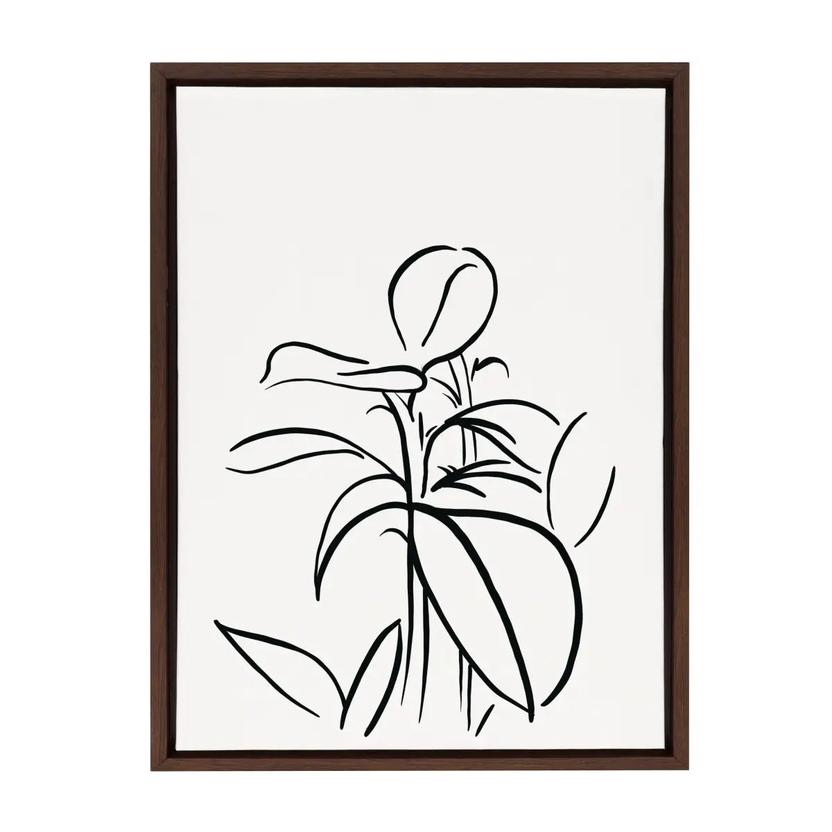 Framed Canvas - Botanical Sketch Print No 1 - kateandlaurel