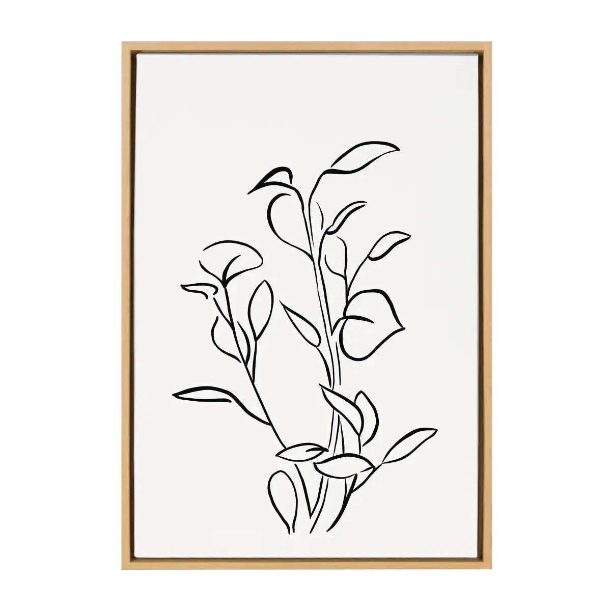 Botanical Sketch Print No 2 Framed Canvas - kateandlaurel