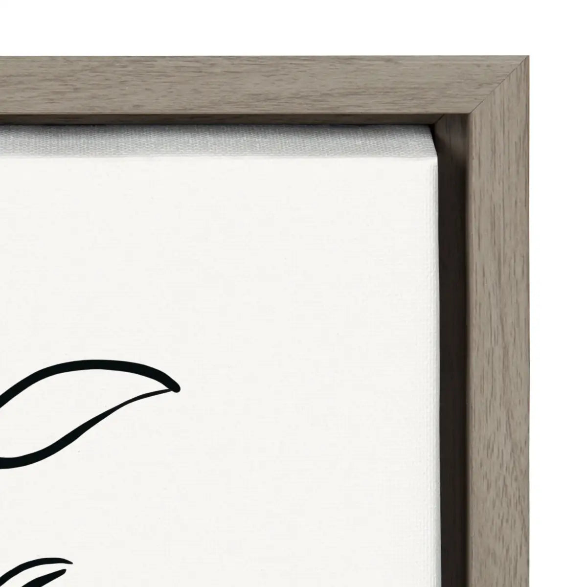 Botanical Sketch Print No 2 Framed Canvas - kateandlaurel