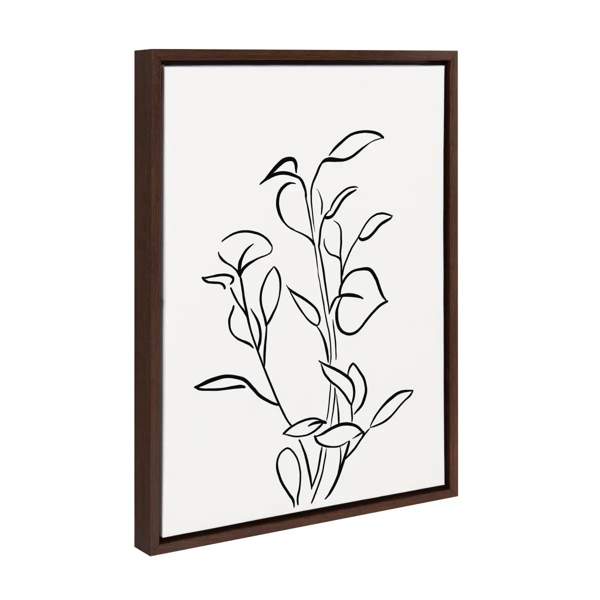 Botanical Sketch Print No 2 Framed Canvas - kateandlaurel