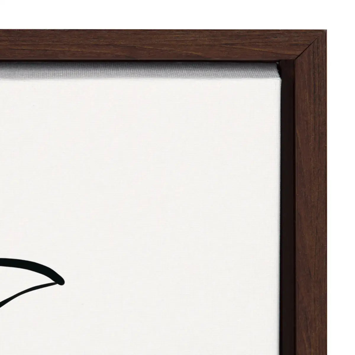 Botanical Sketch Print No 2 Framed Canvas - kateandlaurel