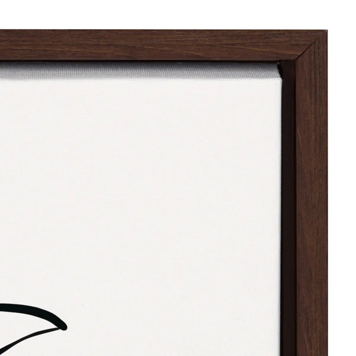 Botanical Sketch Print No 2 Framed Canvas - kateandlaurel