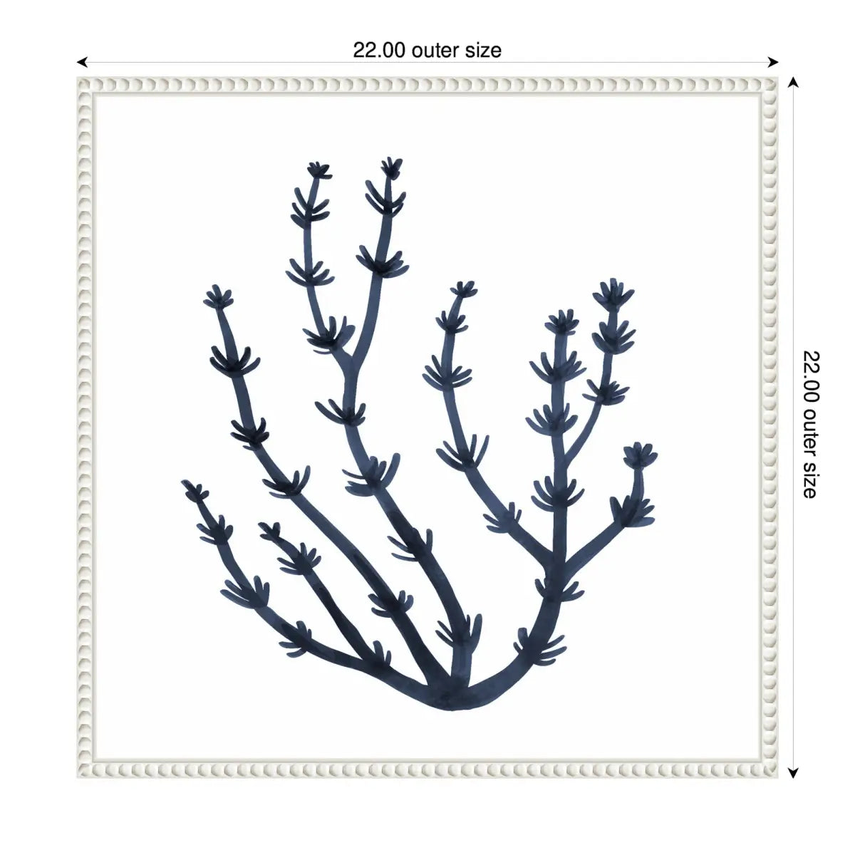 Coastal Coral Seaweed Botanical Framed Canvas - kateandlaurel