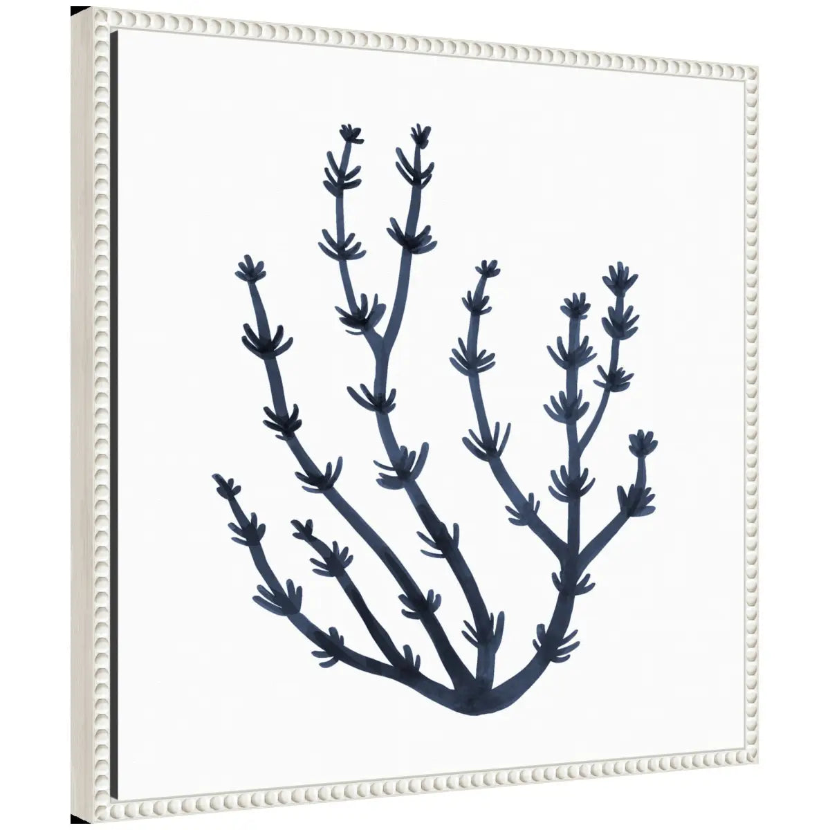 Coastal Coral Seaweed Botanical Framed Canvas - kateandlaurel