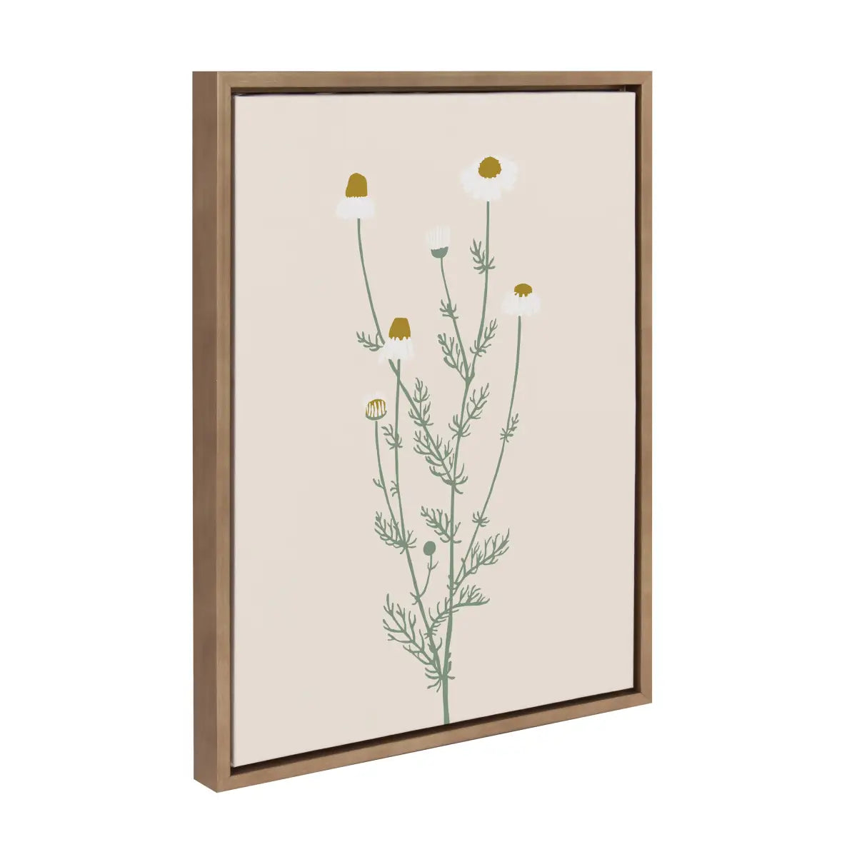 Framed Canvas Art - Delicate Illustrated White Wildflowers - Gold / 18x24 - kateandlaurel