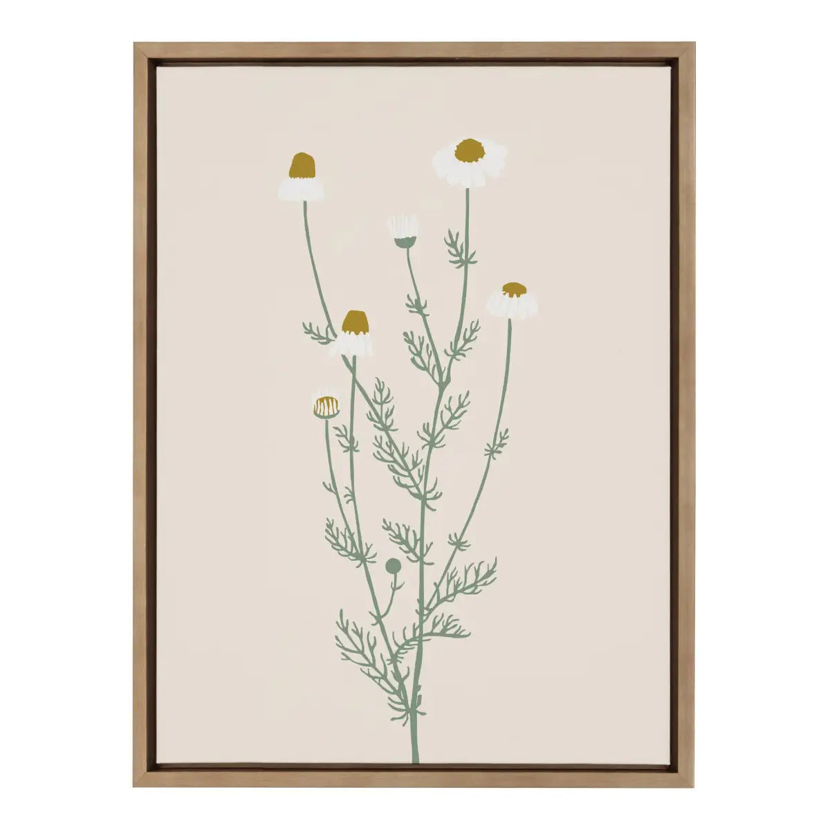Framed Canvas Art - Delicate Illustrated White Wildflowers - Gold / 18x24 - kateandlaurel